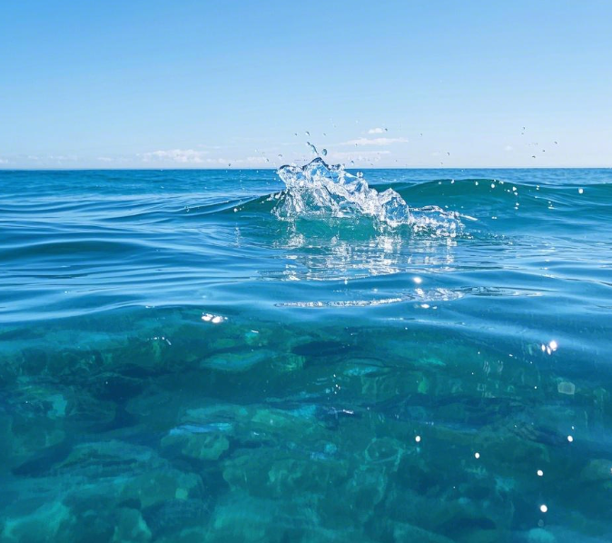 總磷測定儀的選購指南！